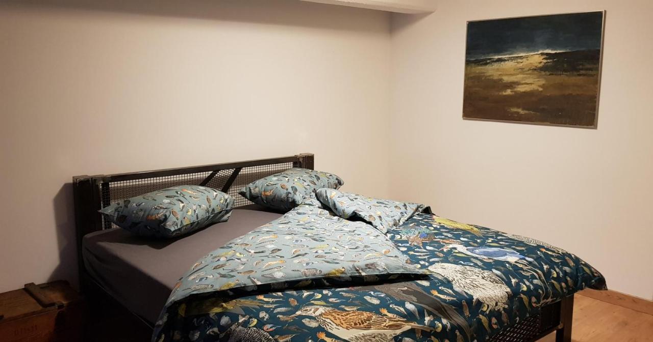 Loft Hiellego Apartamento Zyrardow Exterior foto